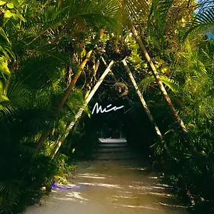 Mia Tulum Resort Hotel Tulum